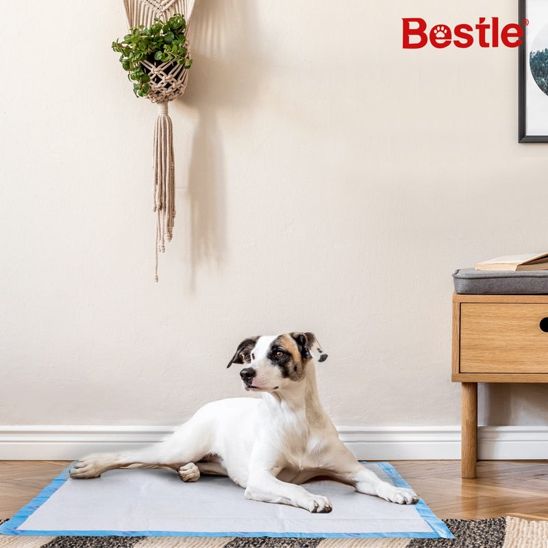BESTLE Extra Large Pet Training and Puppy Pads Pee Pads for Dogs 28"x34" -40 Count Super Absorbent & Leak-Proof - Image 3