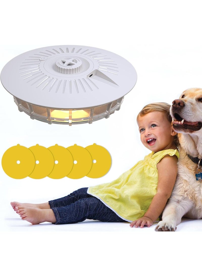 BIGTHREE Dome Trap, Light-Attracting  for Home, With 5 Sticky Insect Boards, Suitable for Mosquitoes, Moths, and Fruit Flies, is an Ideal Gadget for the Family. - Image 1