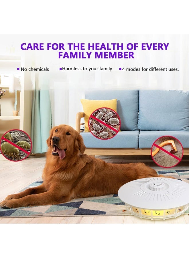 BIGTHREE Dome Trap, Light-Attracting  for Home, With 5 Sticky Insect Boards, Suitable for Mosquitoes, Moths, and Fruit Flies, is an Ideal Gadget for the Family. - Image 4