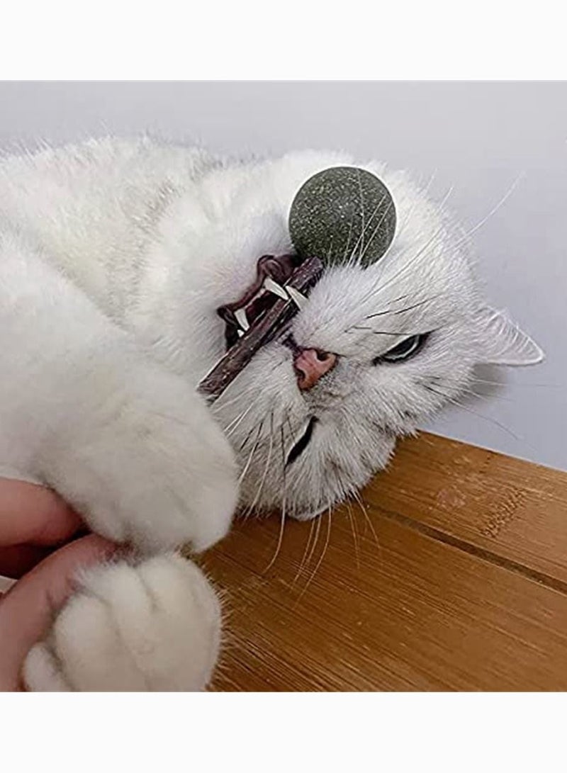 SYOSI Cat Catnip Lollipop 3 Pack Mint Ball Natural Sticks Dental Chews Treats Toys for Cat Teeth Cleaning Oral Care Helps with Bad Breath - Image 3