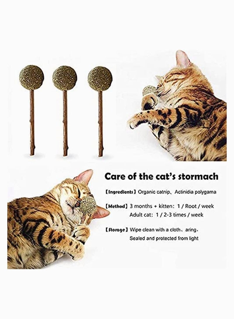 SYOSI Cat Catnip Lollipop 3 Pack Mint Ball Natural Sticks Dental Chews Treats Toys for Cat Teeth Cleaning Oral Care Helps with Bad Breath - Image 4