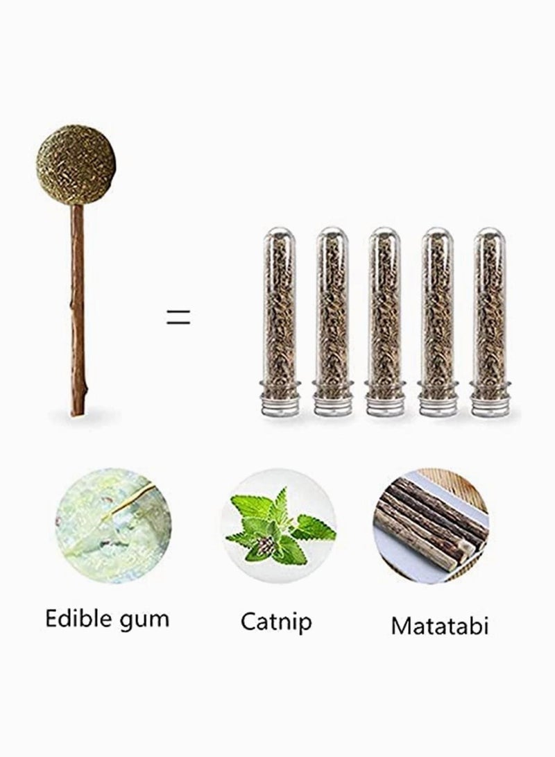 SYOSI Cat Catnip Lollipop 3 Pack Mint Ball Natural Sticks Dental Chews Treats Toys for Cat Teeth Cleaning Oral Care Helps with Bad Breath - Image 5