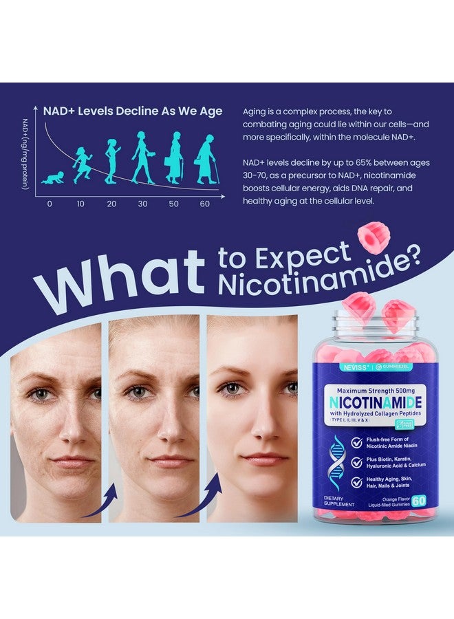 NEVISS جواهر نيكوتيناميد 500 ملغ، مكمل NAD+ (صنع في الولايات المتحدة) مع (نياسين خالي من الاحمرار) فيتامين ب3 نيكوتيناميد، ببتيدات الكولاجين لمكافحة الشيخوخة، تحسين مستوى NAD+، طول العمر والدماغ، 0 جرام سكر، 60 حبة - Image 3