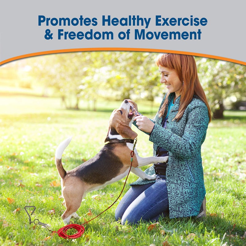 Four Paws Medium Weight Dog Tie Out Cable - Image 3