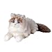 Chongker Stuffed Animals Plush Realistic Animals Plush Toy Lifelike Toy Ragdoll Cat - Image 4