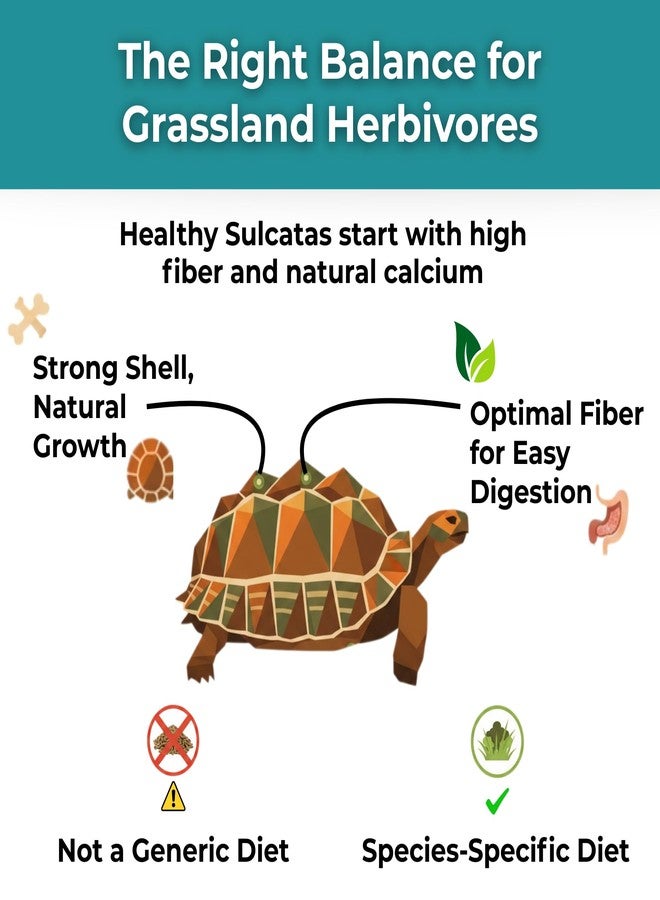 Tortoise Resource Center Sulcata Tortoise Calcium Powder - Herpetologist Formulated Calcium Powder for Reptiles with High Fiber - 30 Day Shaker Bottle Supply for Tortoise Lovers! - Image 3
