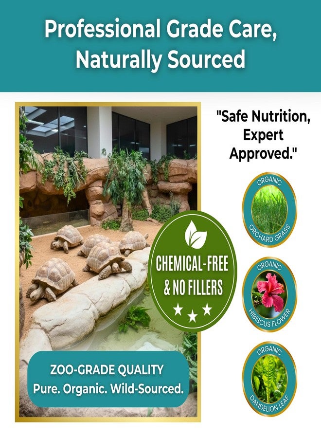 Tortoise Resource Center Sulcata Tortoise Calcium Powder - Herpetologist Formulated Calcium Powder for Reptiles with High Fiber - 30 Day Shaker Bottle Supply for Tortoise Lovers! - Image 5