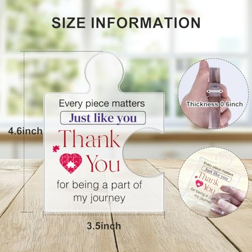 Yigaue Thank You Gifts for Coworkers Appreciation Gift Retirement Gifts for Colleagues Employees Boss, Every Piece Matters Just Like You Acrylic Puzzle Piece Plaque Office Decor - Image 2