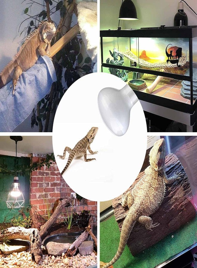 WUHOSTAM 2 Pack 75W Reptile UVA Infrared Heat Lamp,Basking Spot Bulb Soft White Light for Lizard,Tortoise,Bearded Dragon, Hedgehog,Reptiles and Amphibians - Image 5