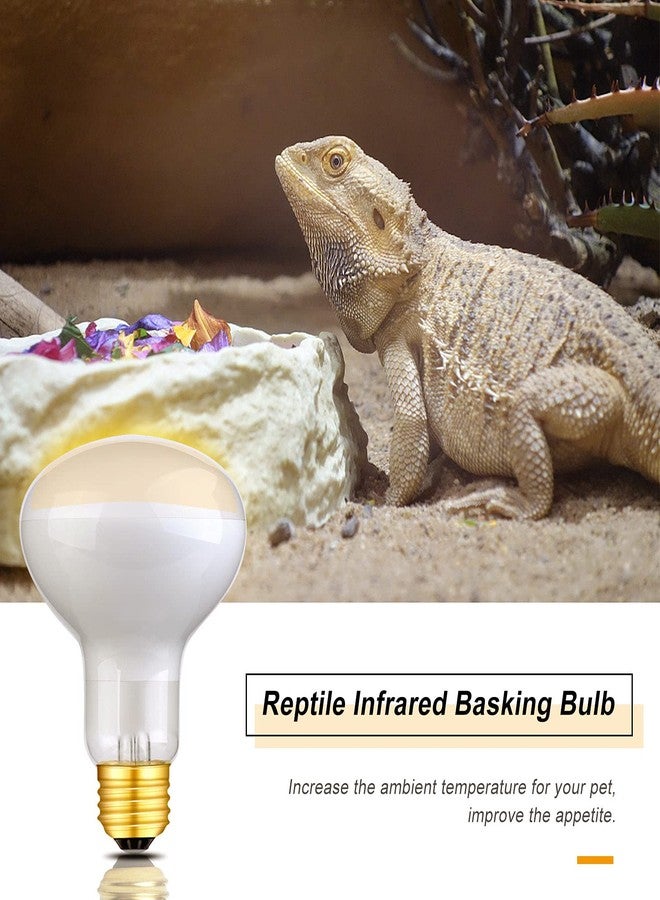 WUHOSTAM 2 Pack 75W Reptile UVA Infrared Heat Lamp,Basking Spot Bulb Soft White Light for Lizard,Tortoise,Bearded Dragon, Hedgehog,Reptiles and Amphibians - Image 4