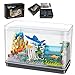 Bibilock Fish Tank Building Blocks Toy SetsCreative Ideals Aquarium Building BlocksCan add Water and Charge Light Effects Best Choice for 6 Boys Girls or Adults - Image 3