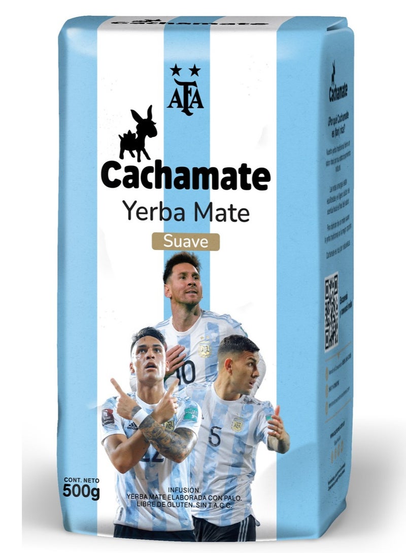 يربا ماتي يربا مته كاتشاميت 500 جرام - Image 1