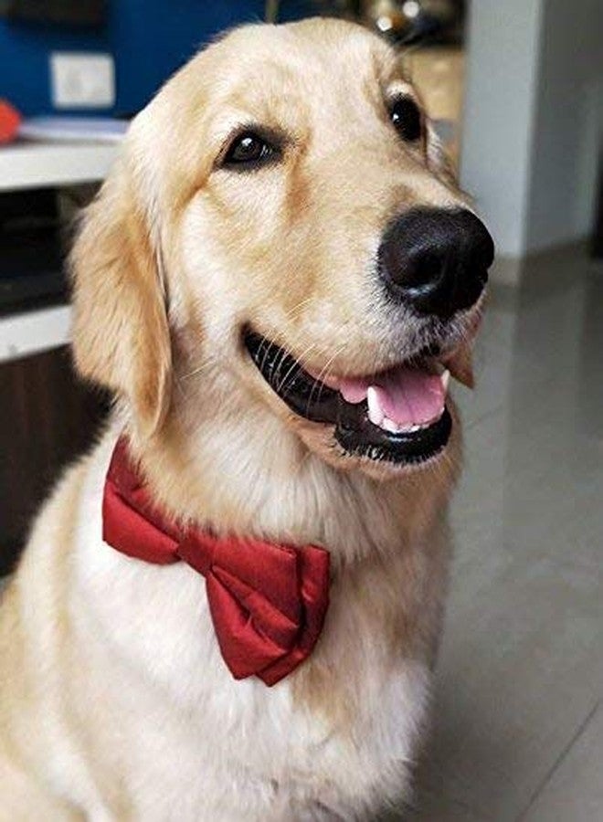 RR Design Dog Bow Tie/Dog Bow-tie/Dog Gift (Adjustable) (Crimson red, Large) - Image 3