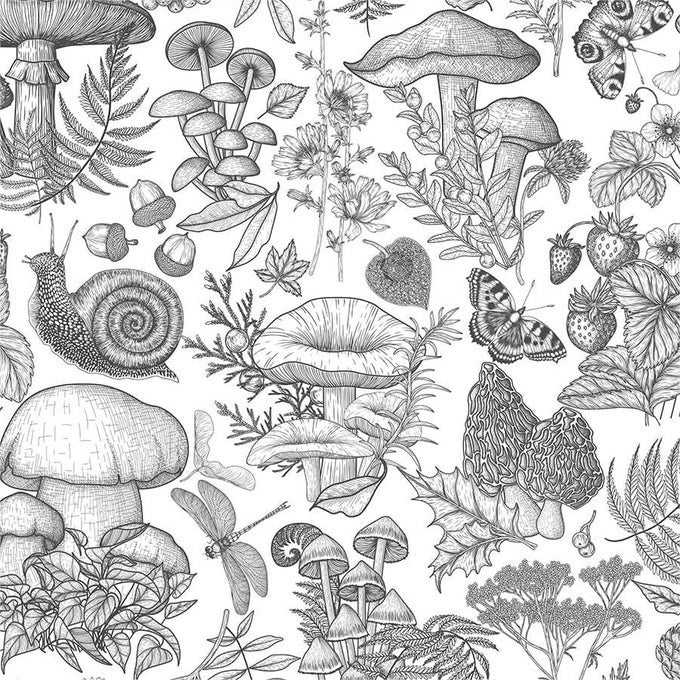 BLACK AND WHITE MUSHROOM SNAIL BUTTERFLY BOTANICAL ANIMALS PEEL AND STICK WALLPAPER SELF ADHESIVE REMOVABLE EASY PEEL OFF STICK ON WALL PAPER FOR BEDROOM CABINET RENTER FRIENDLY
