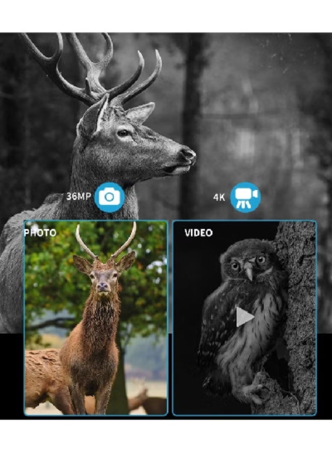 Digital Outdoor Binoculars 36MP 3.2" LCD, Day/Night Wildlife Viewing, Infrared Assisted, 8X Zoom, 250M Range - Image 3