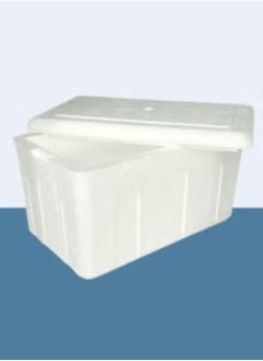 Ayda Ice Box Thermocol Chiller Tray with Lid 40X22X19cm 
