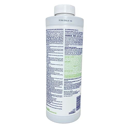bioguard بيوغارد بانش لمكافحة الطحالب في حمام السباحة، 1 لتر، سريع المفعول، غير رغوي، يحافظ على صفاء الماء، يوفر تحكمًا فعالًا في نمو الطحالب - Image 2