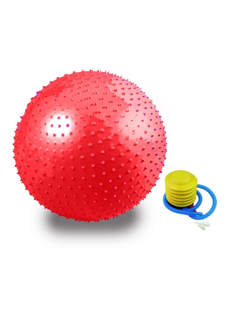 Spall Sensory Yoga Ball 65cm with Air Pump Thickened Stability Balance Sense for Physical Fitness Exercise - Image 1