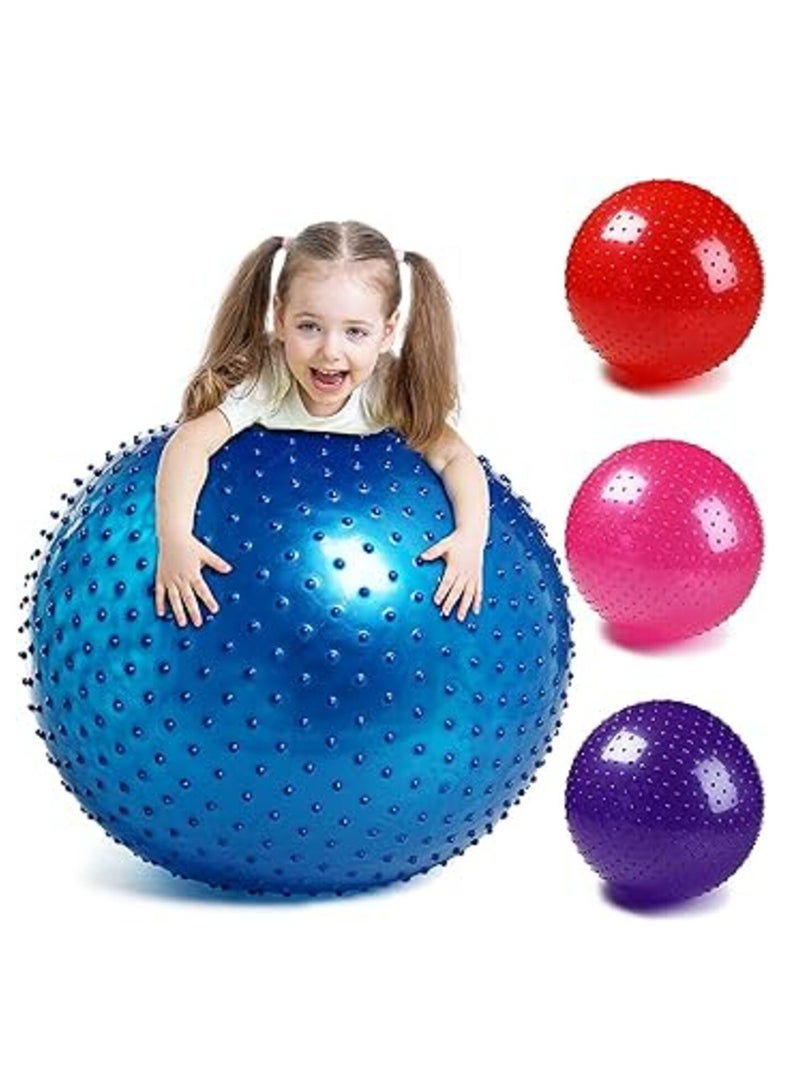 Spall Sensory Yoga Ball 65cm with Air Pump Thickened Stability Balance Sense for Physical Fitness Exercise - Image 3