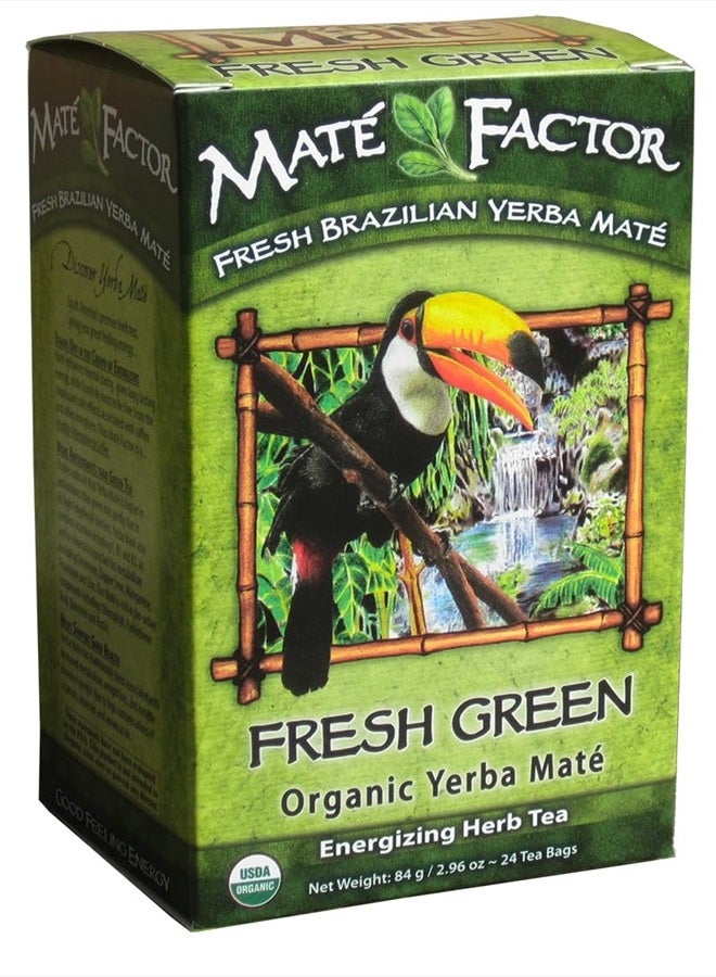 Maté Factor The Mate Factor Yerba Mate Energizing Herb Tea Bag, Organic Fresh Green, 24-Count Box 2.96 oz - Image 1