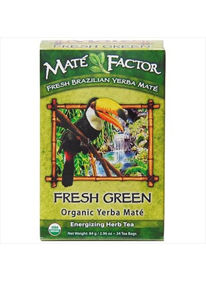Maté Factor The Mate Factor Yerba Mate Energizing Herb Tea Bag, Organic Fresh Green, 24-Count Box 2.96 oz - Image 2
