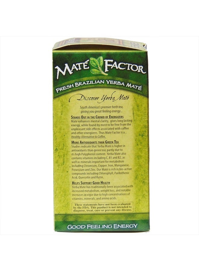 Maté Factor The Mate Factor Yerba Mate Energizing Herb Tea Bag, Organic Fresh Green, 24-Count Box 2.96 oz - Image 4