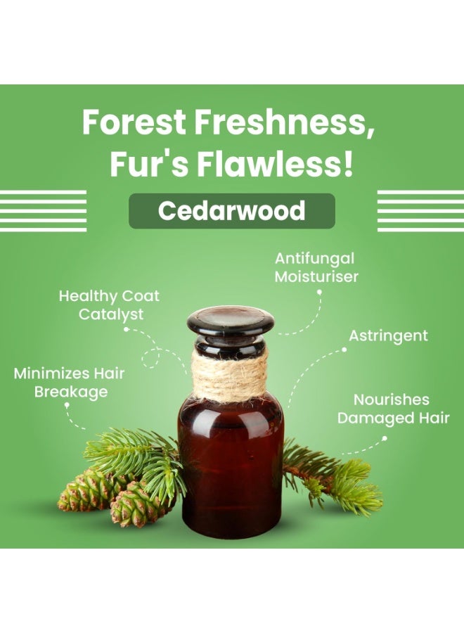 Bark out Loud Shiny Coat Dog Shampoo Oatmeal Coconut Linseed Cedarwood Hydrating Antifungal Antibacterial Healthy Glowing Coat 200ml - Image 2