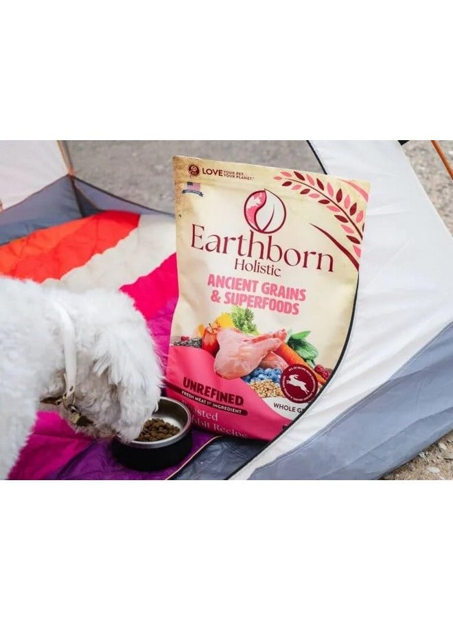 Earthborn Holistic Earthborn Holistic Unrefined Roasted Rabbit with Ancient Grains & Superfoods Dry Food for Dogs & Puppies (4 lb. Bag)  - Image 2