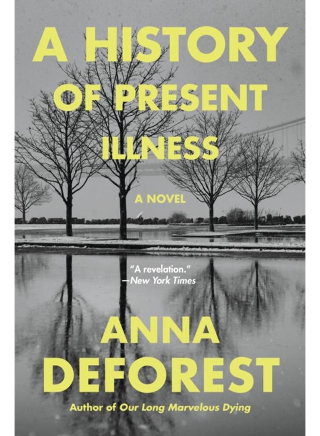 A History of Present Illness : A Novel 