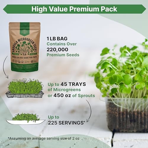 Organo Republic Arugula Sprouting & Microgreens Seeds - Non-GMO, Heirloom Sprout Seeds Kit, 1lb Resealable Bag for & Growing Microgreens in Soil, Coconut Coir, Aerogarden & Hydroponic System. - Image 3