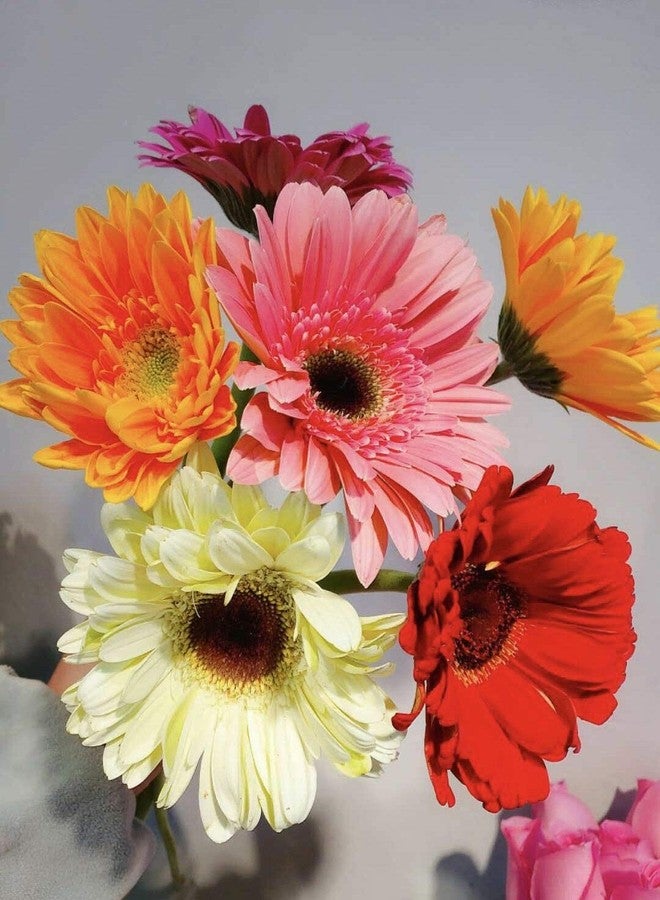 S-shine Crafts S-shine Assorted Color Mixed Six Colors Flower Pens Daisy Flower Ball Pen Sunflower Ballpoint Pens Ball Point Writing Pen (1 Dozen (12pcs)) - Image 1