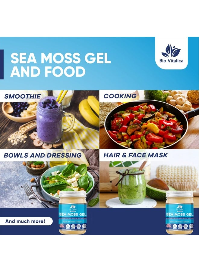 BIO VITALICA Sea Moss Gel by BioVitalica - Irish sea Moss raw Organic - Premium Quality - Dr Sebi, Vegan superfood for Cells - 100% Natural seamoss Gel… (Original, 1 Pack)  - Image 3