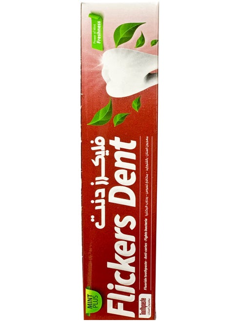 Flickers Dent Mint Plus Toothpaste 50 ML