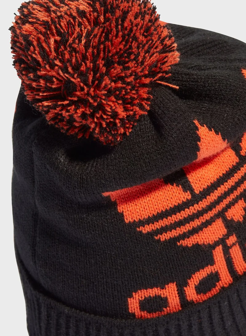 adidas Originals Ar Bobble Beanie