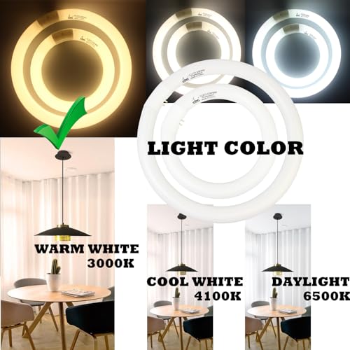 CHKADAWA FC8T9/KB 22W and FC12T9/KB 32W Warm White Set, Round Fluorescent 8 inch T9 22 Watts & Circular Light Bulbs 12 inch 32 Watts Pack, Circline Kitchen and Bath Ceiling Fan Bulb, 3000K, G10q Prong - Image 2