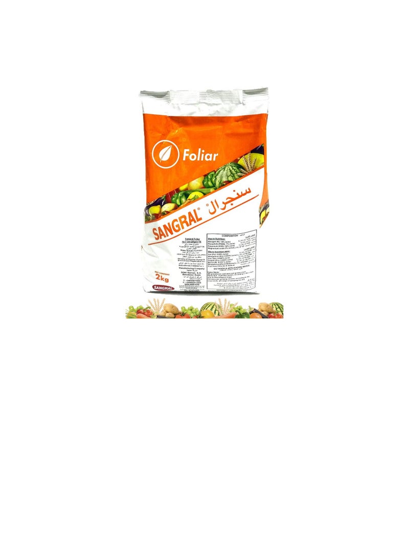 ritaj High Potassium Water Soluble NPK fertilizer 14-7-34+2MgO+TE | Made in Spain | 2 KG - Image 2