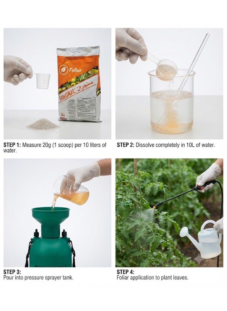 ritaj High Potassium Water Soluble NPK fertilizer 14-7-34+2MgO+TE | Made in Spain | 2 KG - Image 2