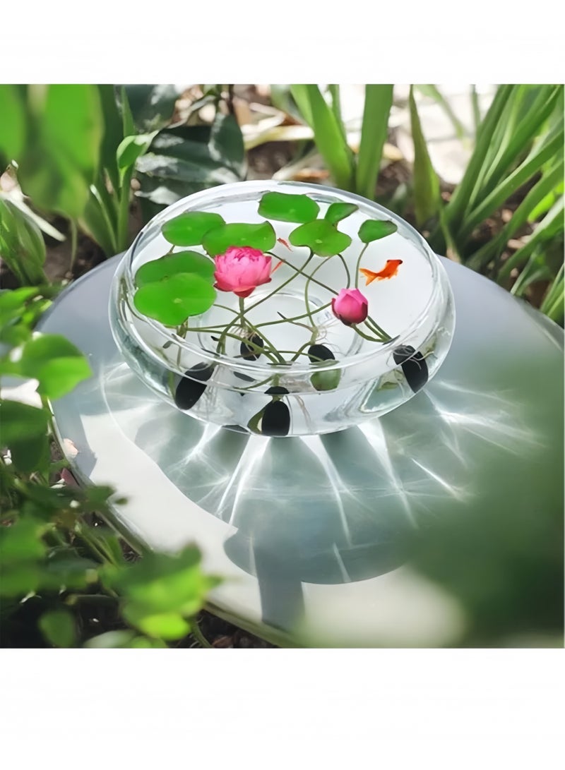 20 قطعة مختلطة بذور زهرة الزنابق المائية (الوردي الأحمر والأخضر) لزراعة النباتات المائية الجميلة