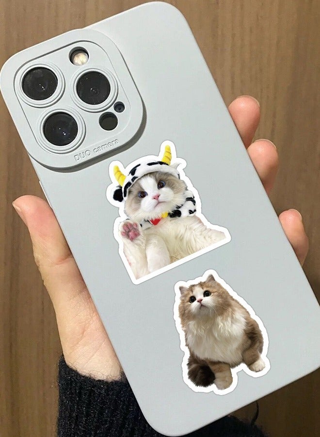 60 Pcs Cat Stickers, Funny Cat Stickers, Cute Cat Stickers Funny Cat, Cat Vinyl Waterproof Stickers for Adults, Teens - Image 4