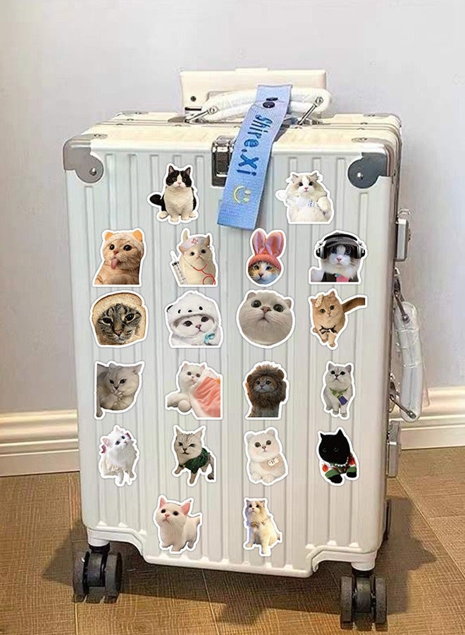60 Pcs Cat Stickers, Funny Cat Stickers, Cute Cat Stickers Funny Cat, Cat Vinyl Waterproof Stickers for Adults, Teens - Image 5