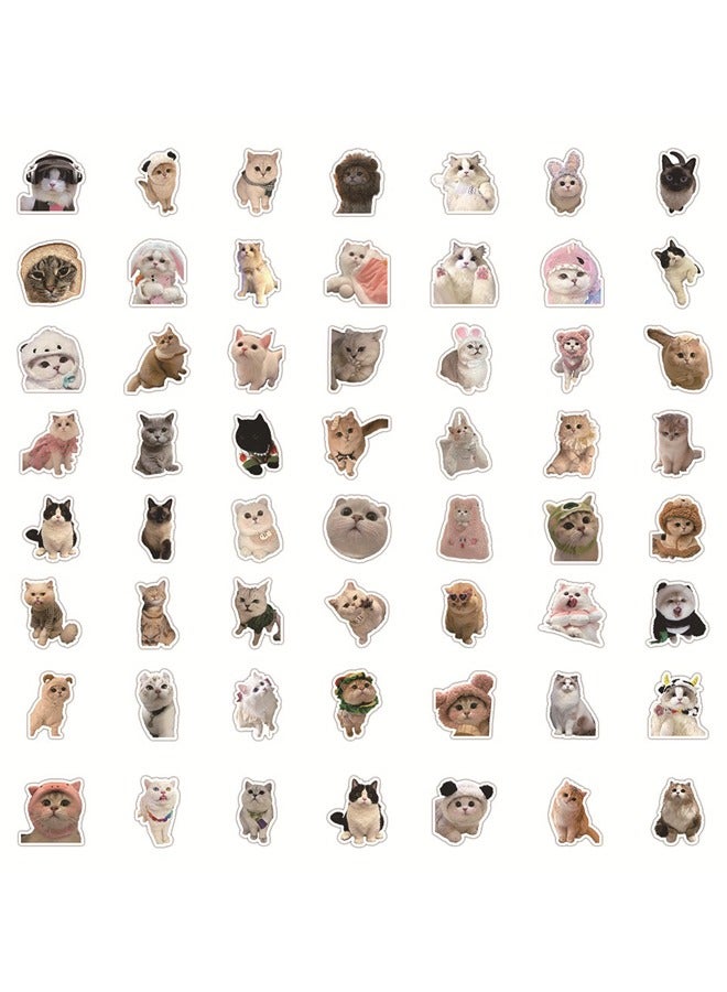 60 Pcs Cat Stickers, Funny Cat Stickers, Cute Cat Stickers Funny Cat, Cat Vinyl Waterproof Stickers for Adults, Teens - Image 3