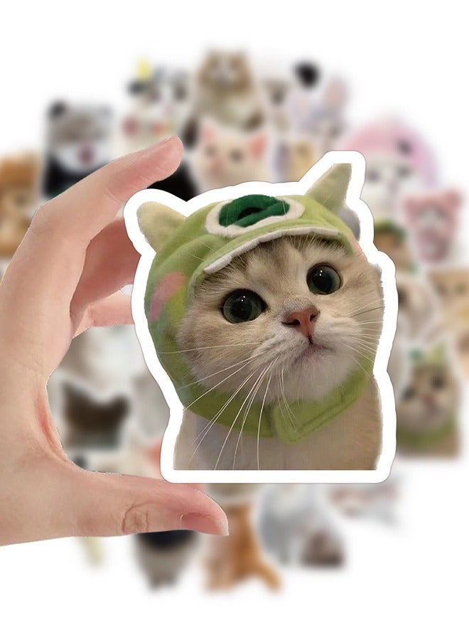 60 Pcs Cat Stickers, Funny Cat Stickers, Cute Cat Stickers Funny Cat, Cat Vinyl Waterproof Stickers for Adults, Teens - Image 2