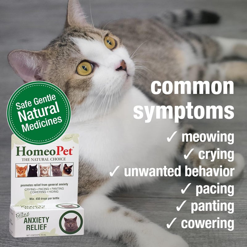HomeoPet Feline Anxiety Relief - Natural Homeopathic Solution for Cat Anxiety - Image 3