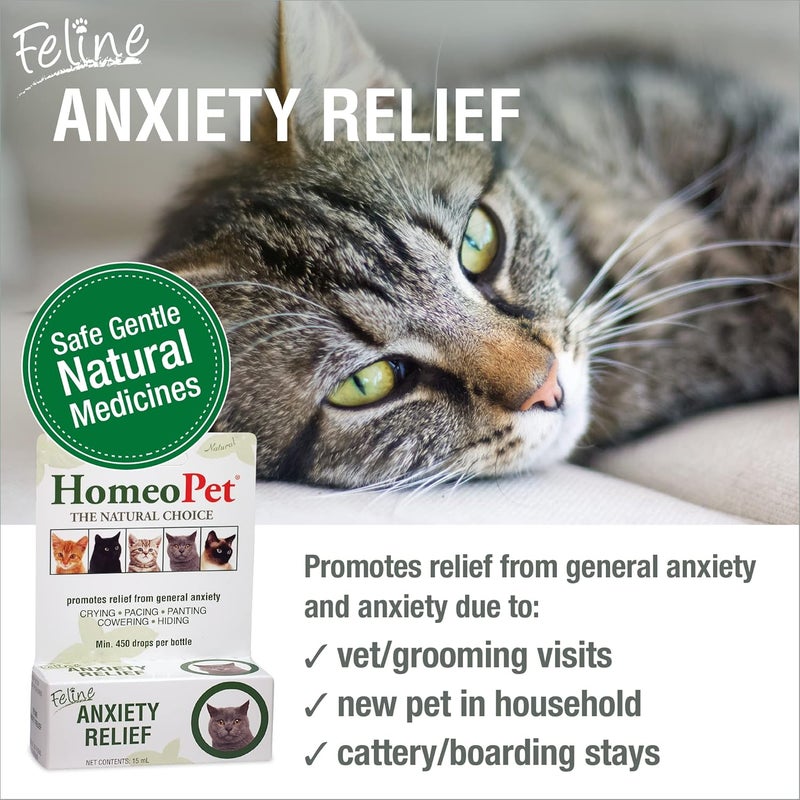 HomeoPet Feline Anxiety Relief - Natural Homeopathic Solution for Cat Anxiety - Image 2