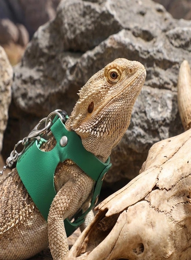 Xosjska 3 Pack Bearded Dragon Leash and Harness Set 3 Size Adjustable Lizard Harness Bearded Dragon Outfits for Reptile Small Animals Training Walking, Easy to Put on and Take Off (Green) - Image 4