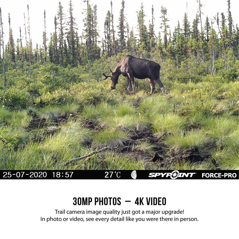 SPYPOINT FORCE-PRO Trail Camera 30MP Photo 4K HD Video w/ 54 Low-Glow LEDs for Image Quality Day or Night, 90â€™ Flash Range, 110â€™ Detection Range, LCD Setup Screen | NON-Cell cameras for hunting - Image 4