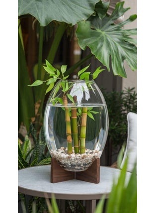 SHOBHANA ENTERPRISES SHOBHANA ENTERPRISES Crystal Clear Oval Glass Vase 6 inch 