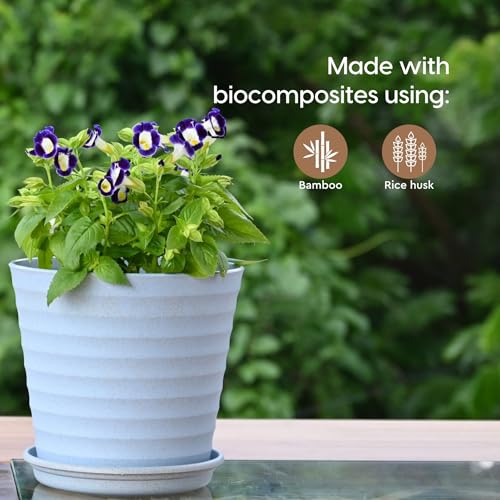 Eha Set of 2 Earth-Friendly Linea 7.5" Pots for Plants | Bamboo Based Plant Pots | UV Protected | Flower Pot for Indoor, Home Decor, Outdoor, Balcony & Garden | Inno-Azure - Image 3