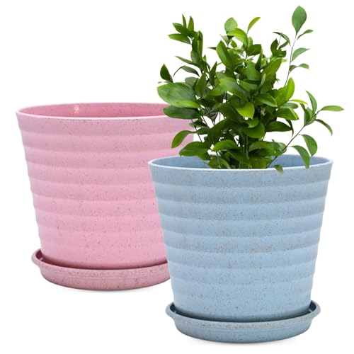 Eha Set of 2 Earth-Friendly Linea 7.5" Pots for Plants | Bamboo Based Plant Pots | UV Protected | Flower Pot for Indoor, Home Decor, Outdoor, Balcony & Garden | Inno-Azure - Image 1