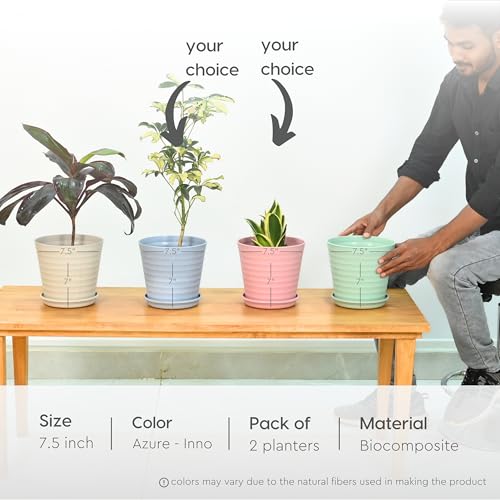 Eha Set of 2 Earth-Friendly Linea 7.5" Pots for Plants | Bamboo Based Plant Pots | UV Protected | Flower Pot for Indoor, Home Decor, Outdoor, Balcony & Garden | Inno-Azure - Image 2